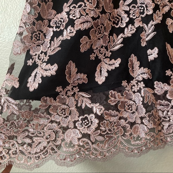 BHLDN Hitherto Tonya Lace Dress Black Pink size 4 - Picture 8 of 12